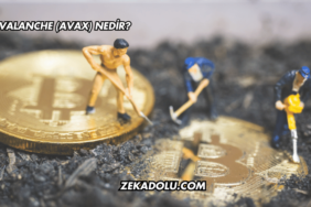 Avalanche (AVAX) Nedir?