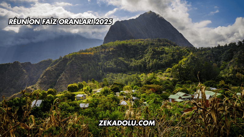 Réunion Faiz Oranları 2025