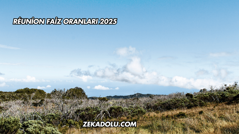 Réunion Faiz Oranları 2025
