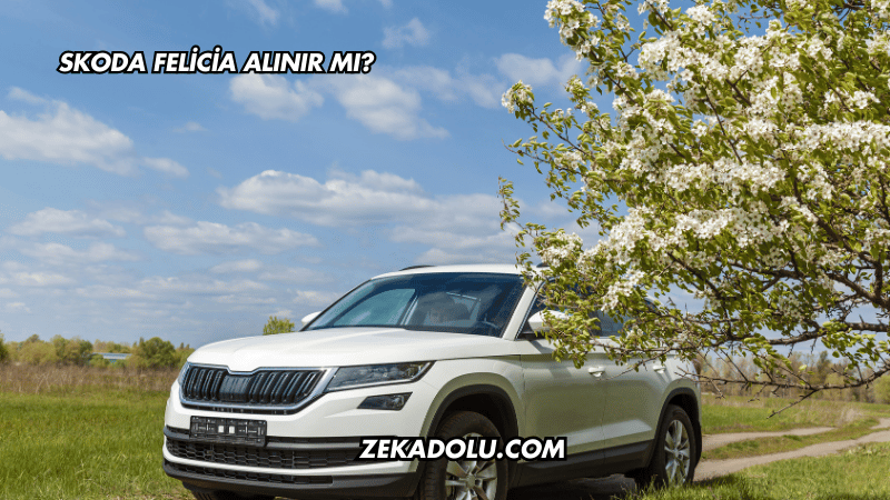 Skoda Felicia Alınır mı?